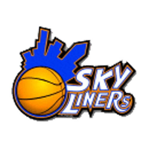 Logo: SKYLINERS